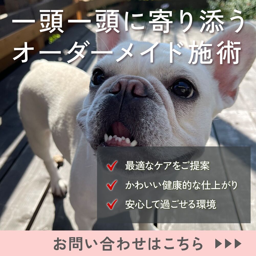 お問い合わせはこちら