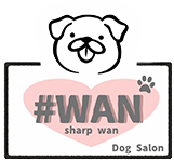 #WAN